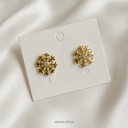 Earrings T1